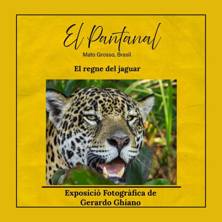 EXPOSICIÓ: “El Pantanal” de Gerardo Ghiano